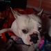 Marisol Valencia - Facebook