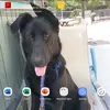 marisolvalles85 - @marisolvalles85 - TikTok
