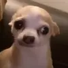 Marisol vergara - @marliis25 - TikTok