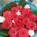 Marisol Wilcox - Facebook