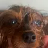 Maddie - @marisolwilson70 - TikTok