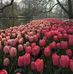 Marisol Wilson - Facebook