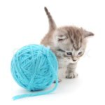 Marissa Armstrong - @knittykittygirl - Instagram