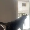 Marissa - @marissa.ball6 - TikTok