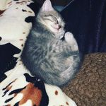 marissa marie beasley - @marissamar9 - Instagram