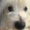 marissabeasley6 - @marissabeasley6 - TikTok