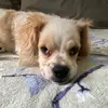 Marissa Calderón - @marissacalderon17 - TikTok