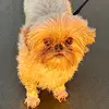 Marissa - @marissachapman - TikTok
