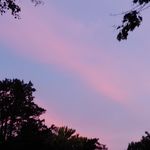 Mari C - @marissa_coey - Instagram