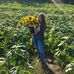 Marissa Conklin - Facebook