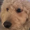 Marisa Corso - @marisacorso - TikTok