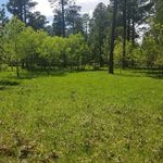 Marissa Cummings - @marissacummings62 - Instagram