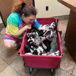 Marissa Dinetz - @maris.sabessdinetz - Instagram