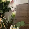 Marisa - @marisadoherty - TikTok