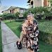 Marissa Dwyer - Facebook