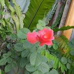 Marissa Fermin - Facebook