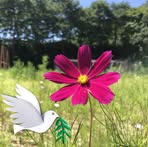 Marisa Fiore - Facebook