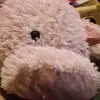 flintmarissa08 - @flintmarissa08 - TikTok