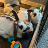 Marissa Flint - @marissa872005 - TikTok