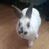 Marissa - @marissagerlach06 - TikTok