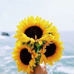 Marissa Gregory - @marissa_gregory5454 - Instagram