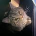 Marissa Grimes - Facebook