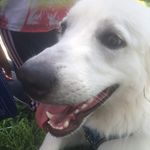 Marissa Hager - @stupid.hoe.finder - Instagram