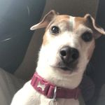 Marissa - @marissa_harding01 - Instagram