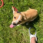 Marissa Hardy - @sluggersoftball2402 - Instagram