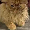 Marissa Hardy - @marissahardy17 - TikTok