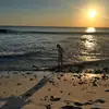 marissa - @marissa.holmes - TikTok