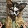 Marissa - @marissa_howard3 - TikTok