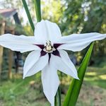 Marissa Howard - @trippyhike - Instagram