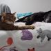 Marissa Jacobs - Facebook