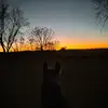 marissa - @marissajohnson1234 - TikTok