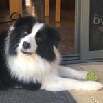 Marisa Kahn - @menglishstudent - Instagram