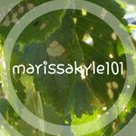 marissa-kyle - @marissakyle101 - Instagram
