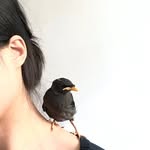 Marissa lam - @hi_marissa - Instagram