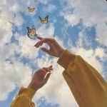 Marissa Lam - @sasi_lam - Instagram