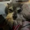 🙀 - @marissa.lemus - TikTok