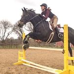 Marissa & Luke - @my_ottb_luke - Instagram