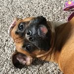Marissa Meyer - @marissameyerspam - Instagram