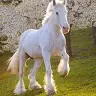 Marissa Meyer - @marissameyer98 - TikTok