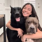 Marissa Monteleone - @mydogsdope - Instagram