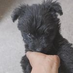 Marissa Morales - @marissa.morales.35762 - Instagram