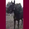 Marissa Mullen - @mullen2k15 - TikTok