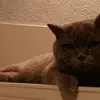 MarissaOrr - @marissaorrgbfwzpi - TikTok