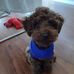 Marissa Porter - Facebook