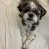 marissapower49 - @marissapower49 - TikTok