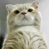 powermarissa912 - @powermarissa912 - TikTok